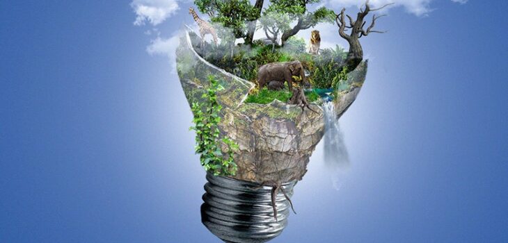 World Environment Protection Day