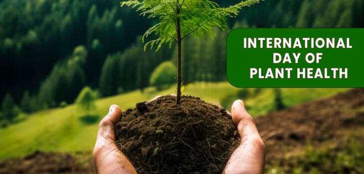 International Day of Plant Health