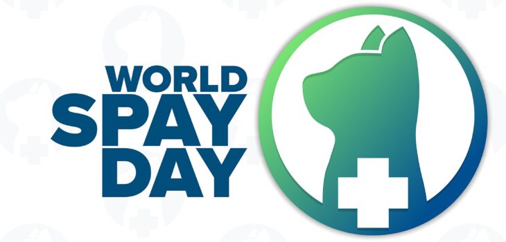 World spay Day
